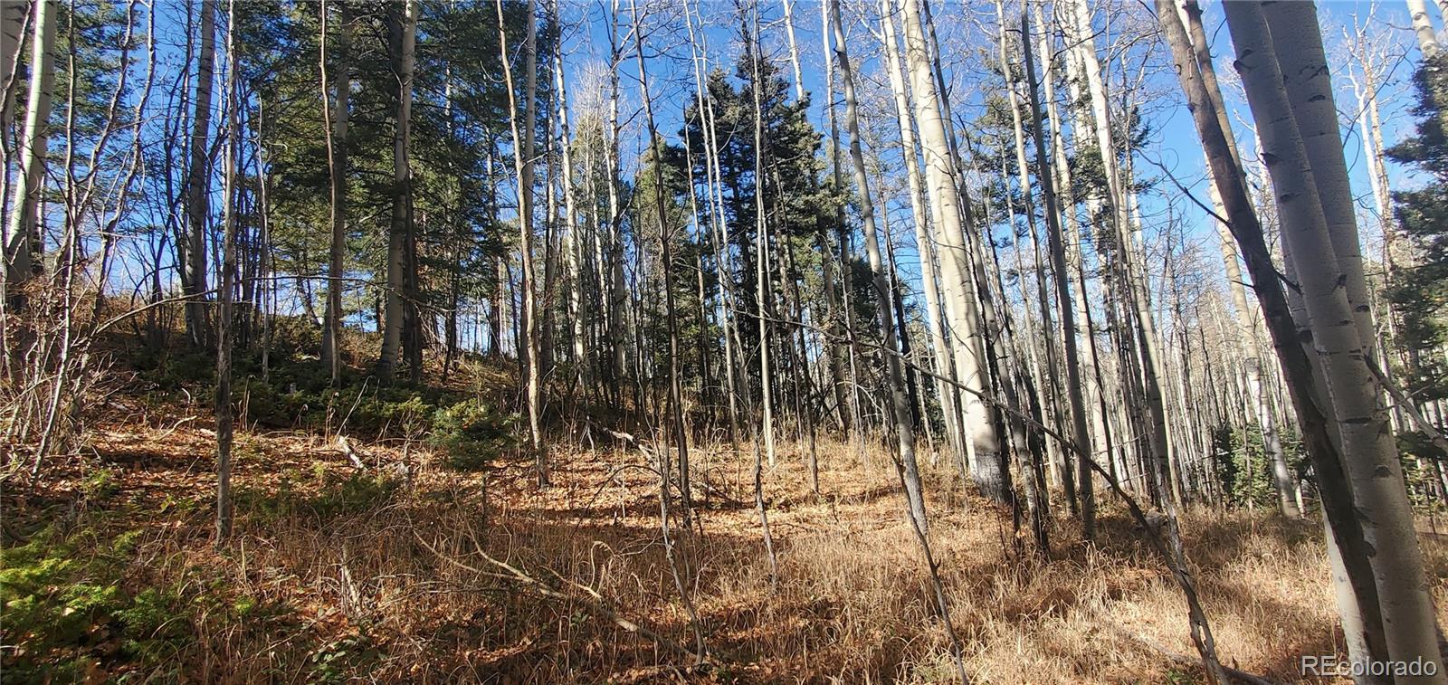Lot 6060 Forbes Road