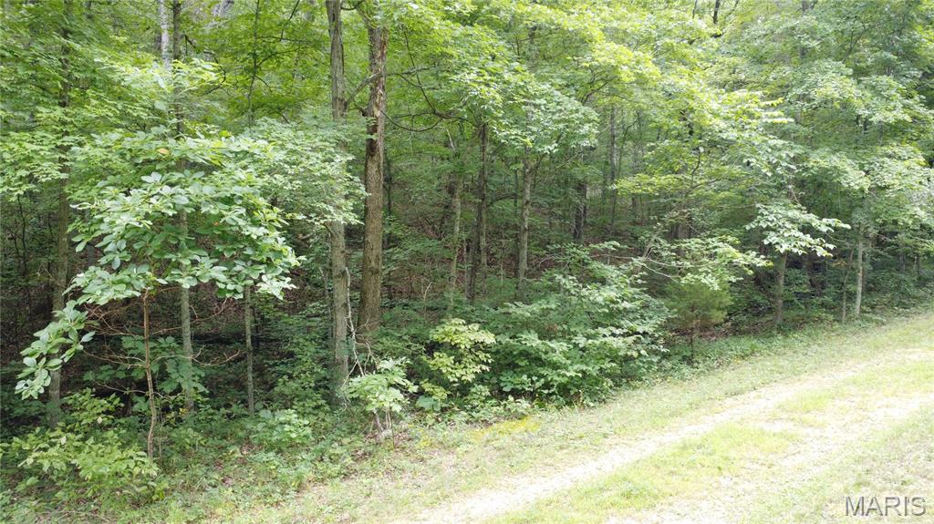 10223 San Juan Trail