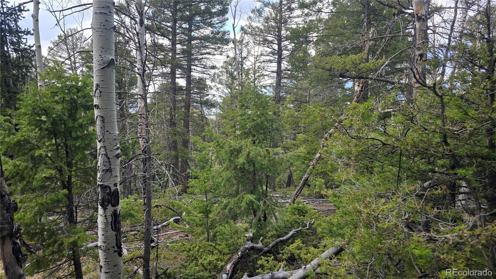 Lot 5261 Scott Road