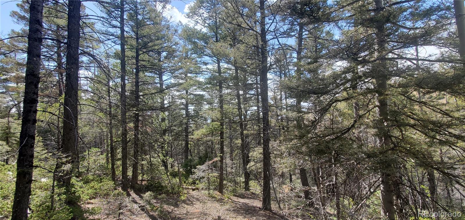 Lot 5610 Dawson Road