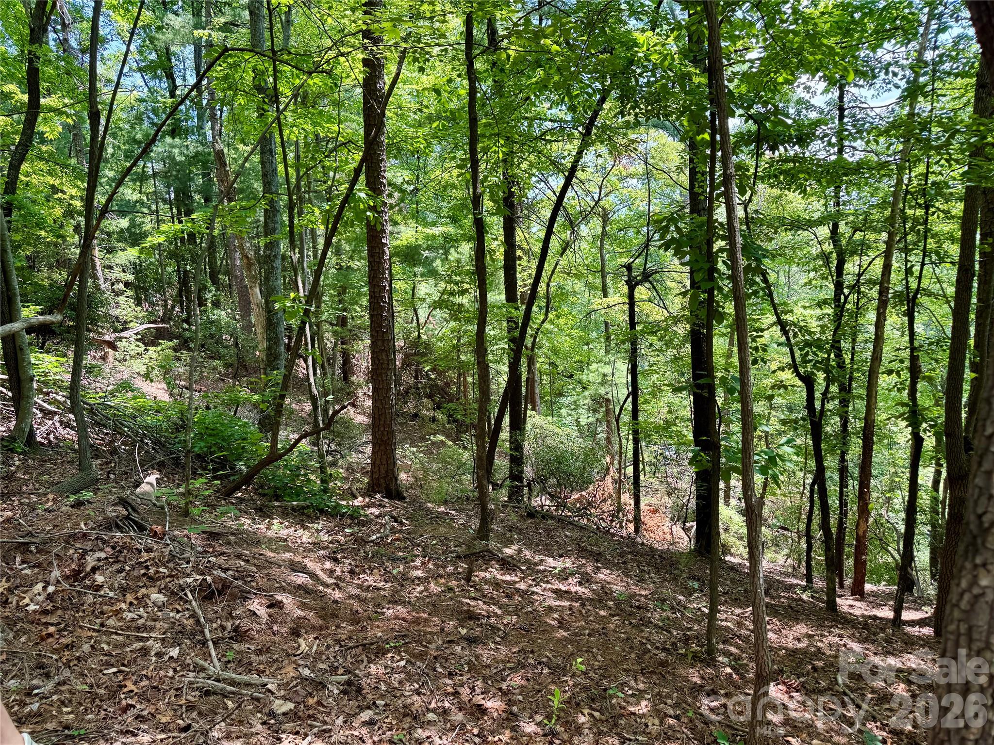 35+ acres - Lot 23 Bear Track Lane 23