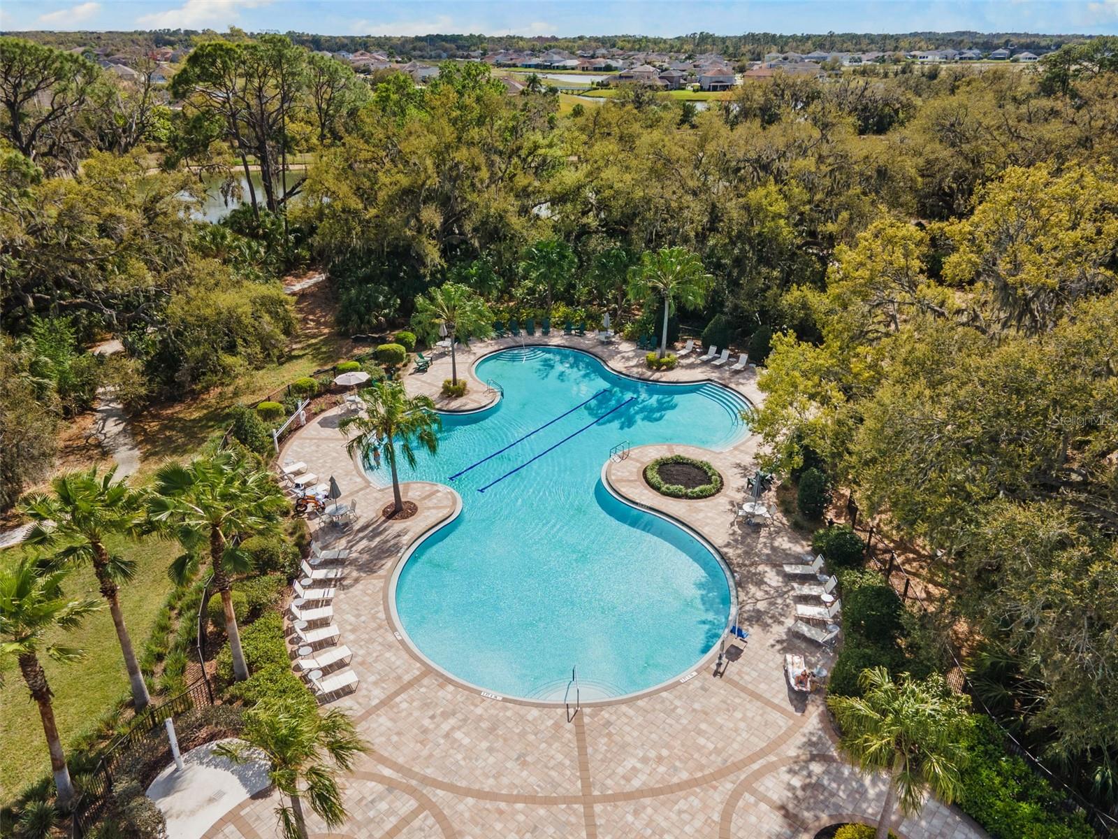 8523 Rain Lily Crossing