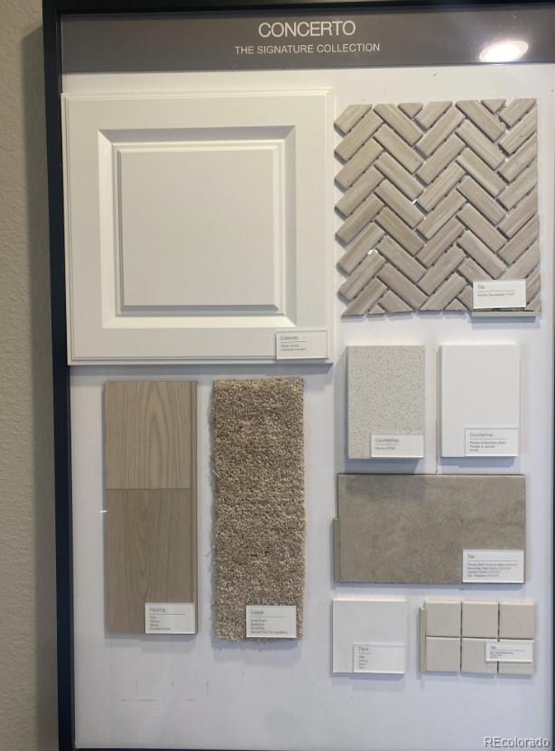 13265 Blue Amber Court