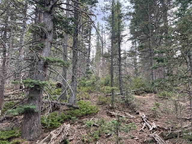Lot 3091 Sterenson Place