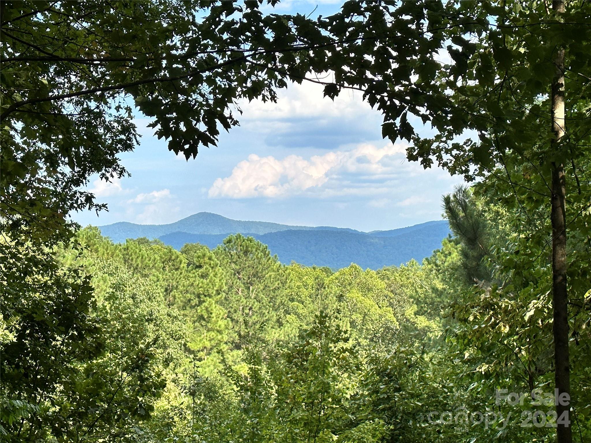 67 Dunn Trail 9