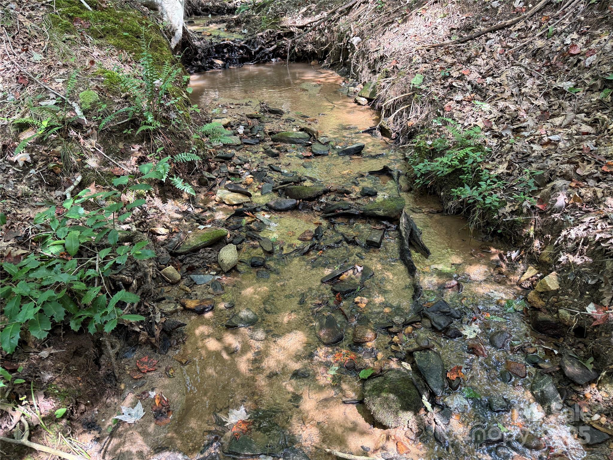 0 Mountain Brook Trail 298