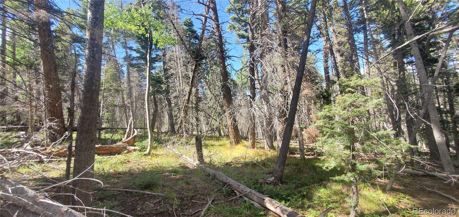 Lot 3427 Grojean Drive