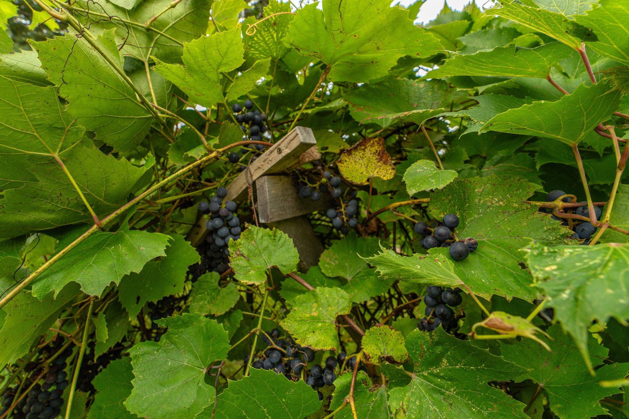 1578 N Lake Miltona Drive NE