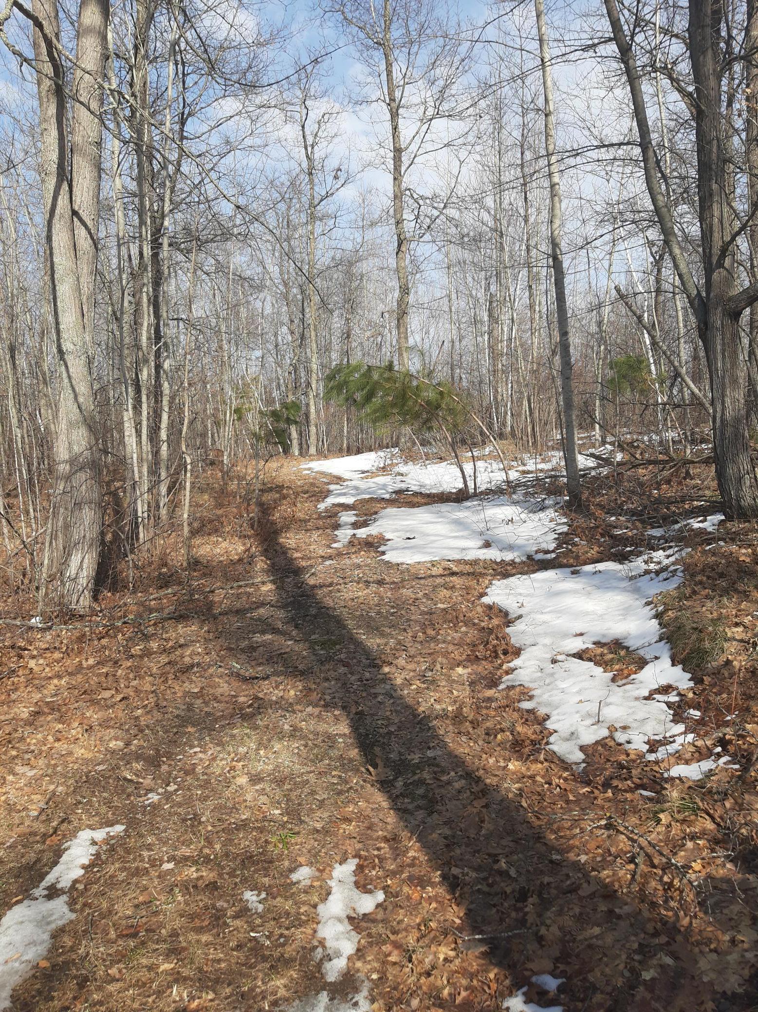 TBD Washburn Bay Trail NE