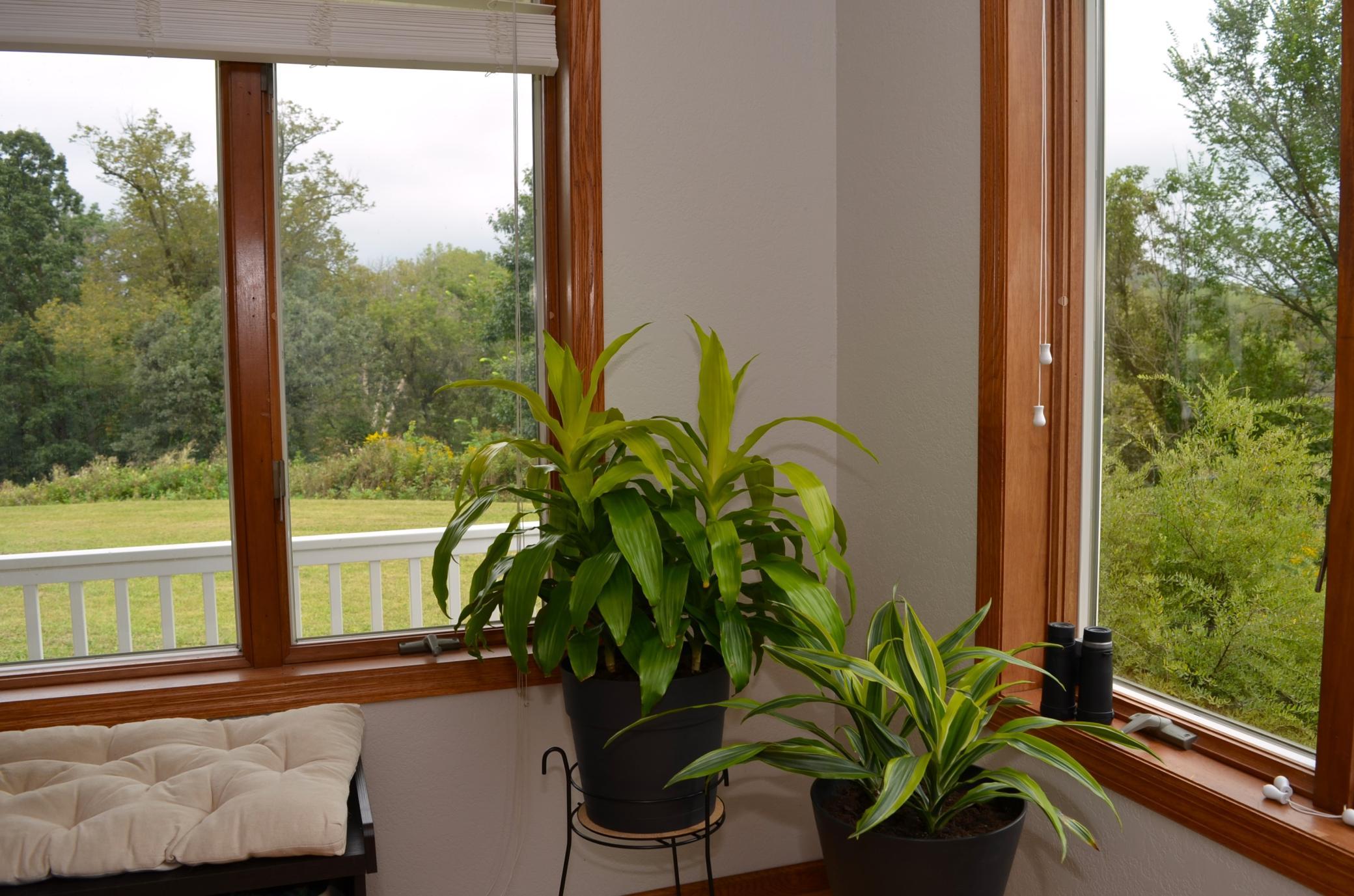 31365 Hay Creek Trail
