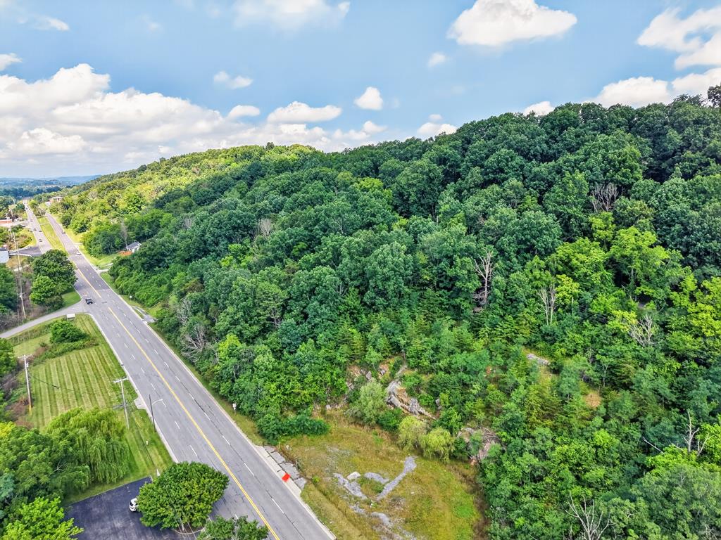 Situated just off highly traveled Route 11 in Wytheville, this affordable parcel offers a great opportunity for your next project. Whether you're looking for a future homesite, investment property, or a place to build with excellent accessibility, this property has plenty of potential.  The lot does feature a steeper topography and will likely require some grading or site preparation, making it an ideal choice for buyers looking to add value through improvements. With convenient access to town, shopping, dining, and Interstate 81, the location is hard to beat.  If you've been searching for an inexpensive piece of land in a great location, this one deserves a look. Priced to sell—bring your vision and make it your own!