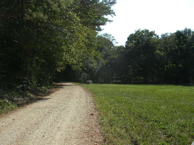 0 Traylor Branch Road
