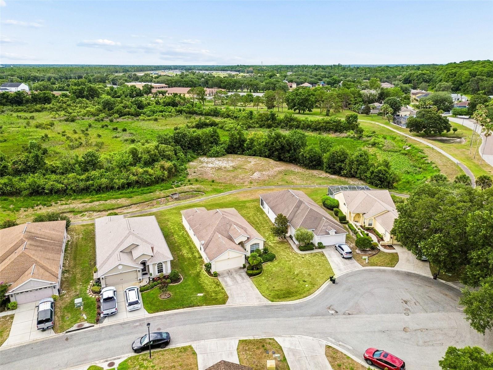 16727 Caracara Court