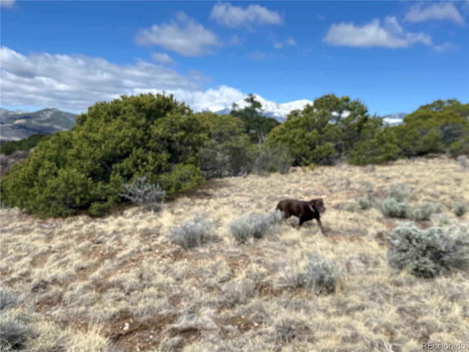 Lot 117 Lautenburg Drive