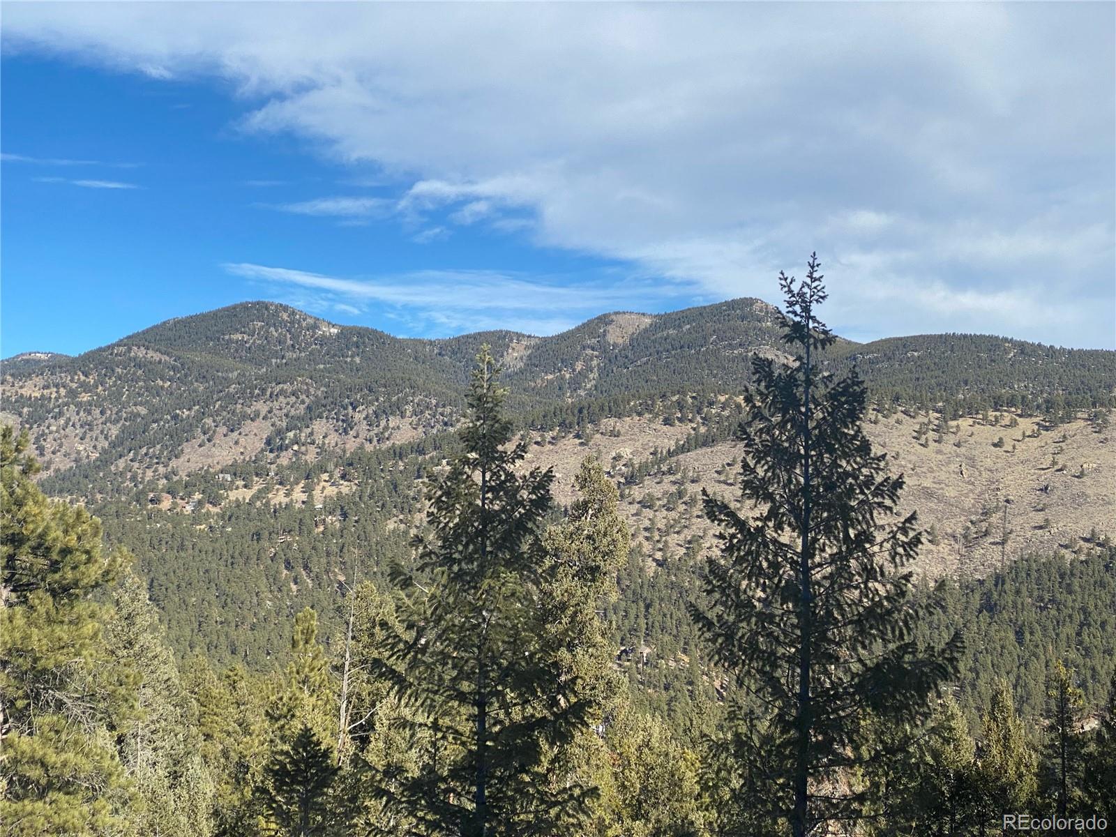 33884 Bergen View Trail