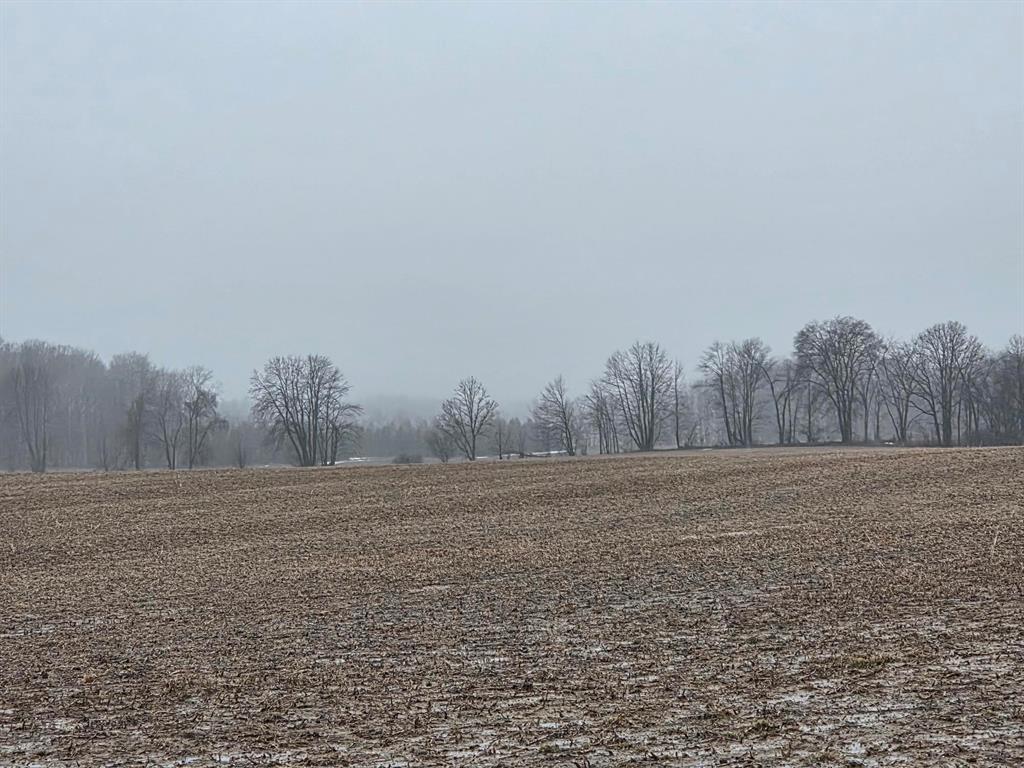 40 acre parcel. Has an approximately 5 acre area too wet to plow. Address assigned for listing purposes only.