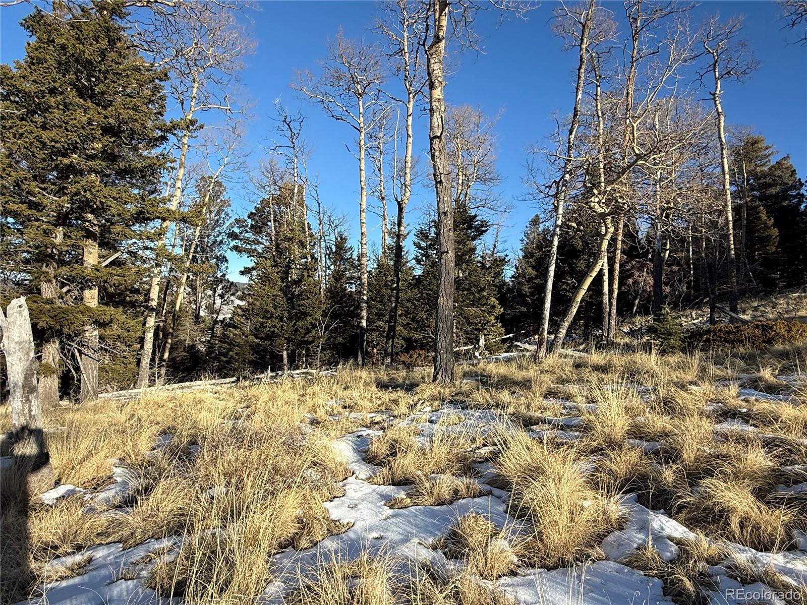 Lot 499 Collinson Drive