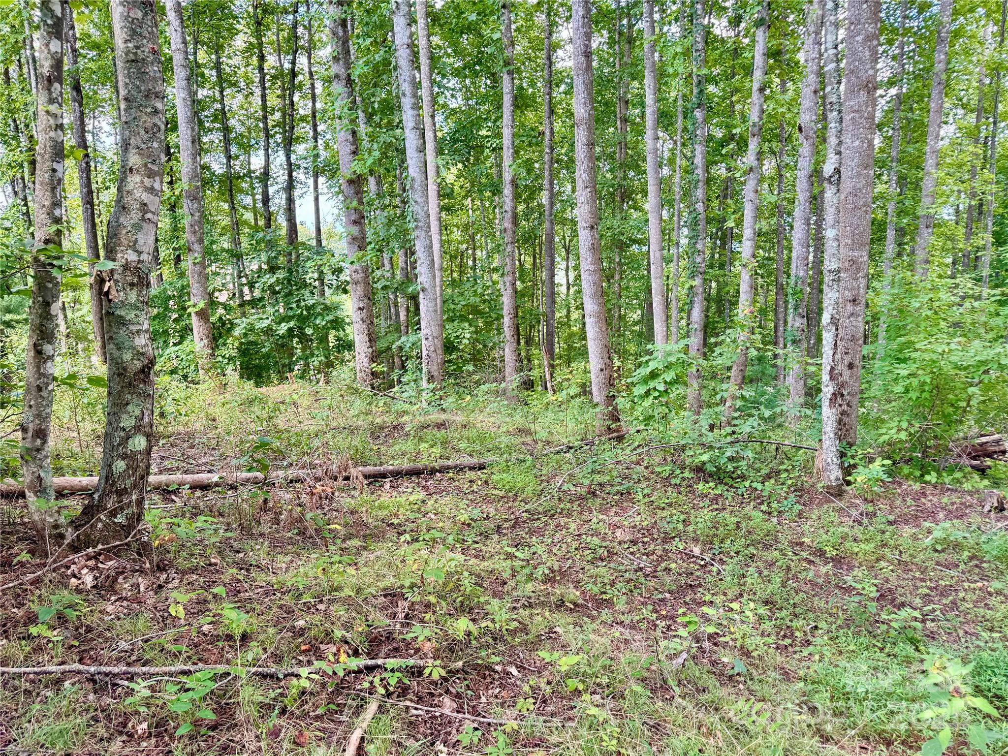 2.01 acres, Lot 971 Soaring Top Lane 971