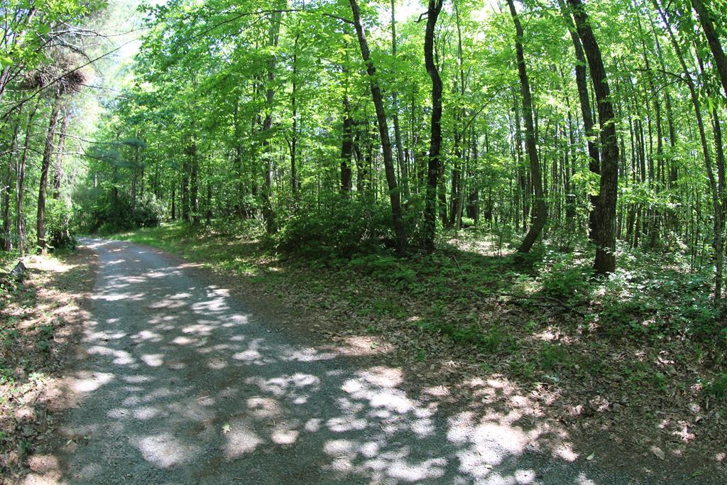 24.28 acres of land located in Patrick County, VA 24120. 0 Misty Acres Meadows of Dan, VA 24120).Lot 9. All Wooded. Rolling to level. Stream. Great Building Sites. Underground Electric. 20 ft deeded access to Free Union Road. 1.5 miles to North Entrance to Primland Resort - Auberge Resorts. 3 miles to Blue Ridge Parkway and Meadows of Dan, VA. 8 miles to Morrisette Winery. 15 minutes to Old Mill Golf Course. 30 minutes to Hillsville, VA and Interstate I-77. 30 minutes to Floyd, VA. 45 minutes to Mt. Airy, NC. 1 hour to Christiansburg, VA.