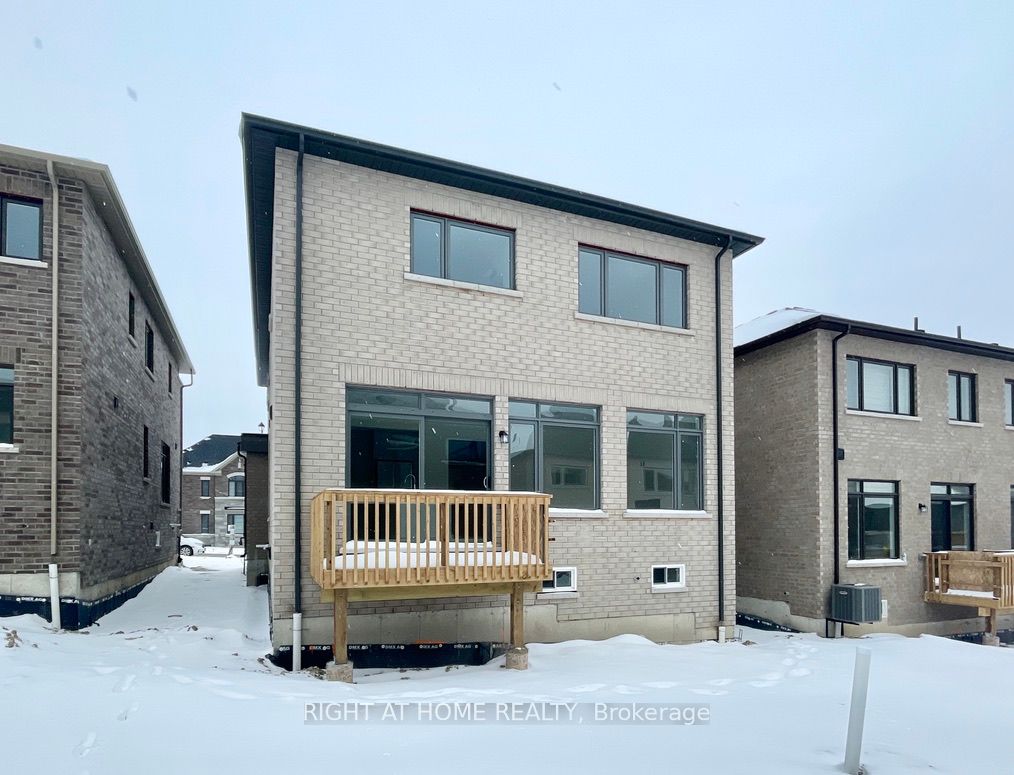 48 Daisy St