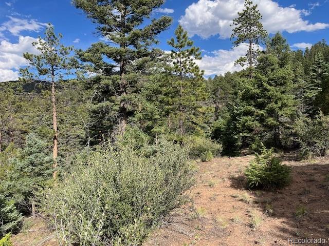 Lot 5757 Balleroy Road