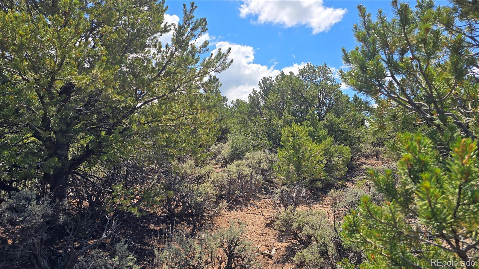 Lot 1615 Dunn Road
