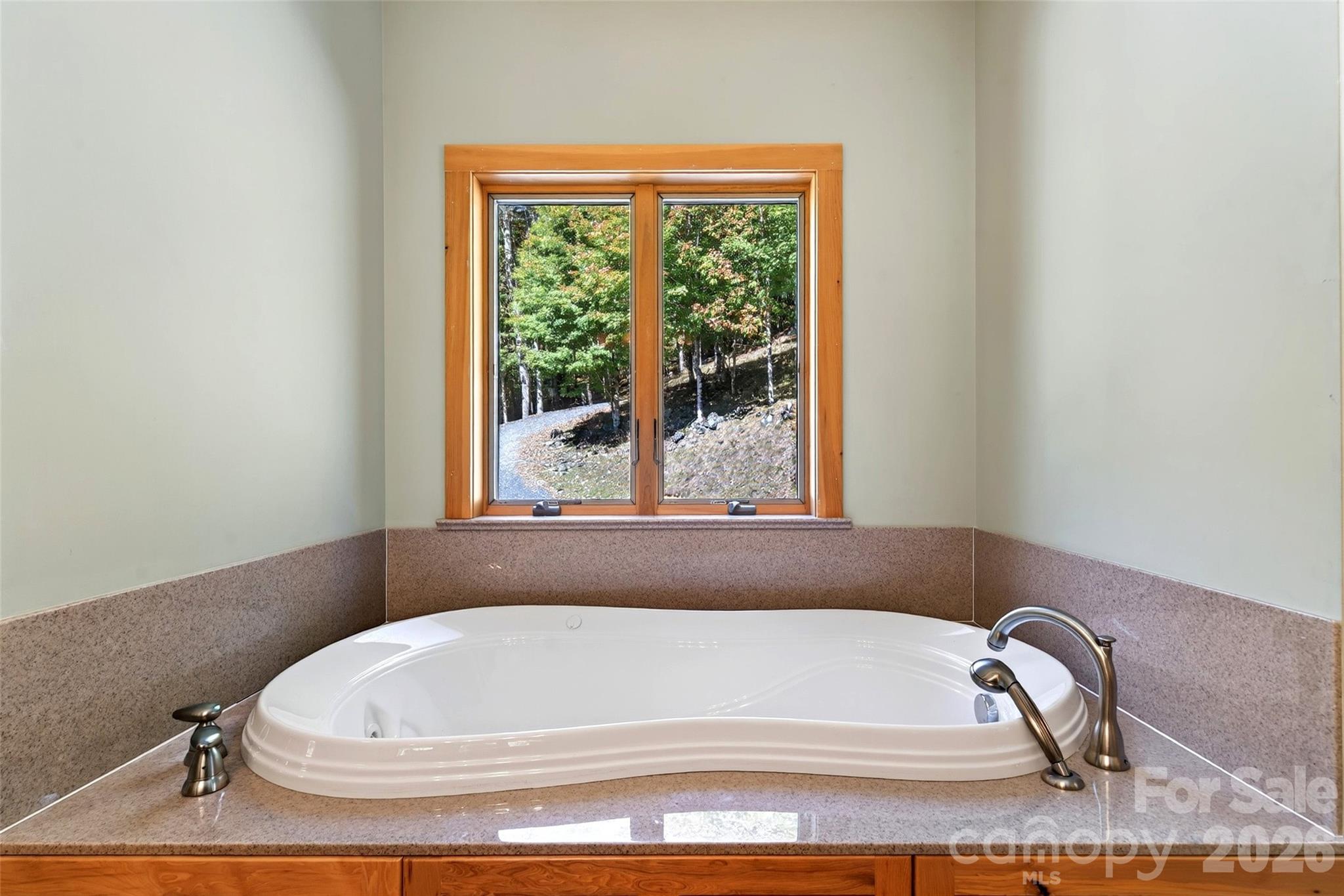 155 Mule Trail Drive