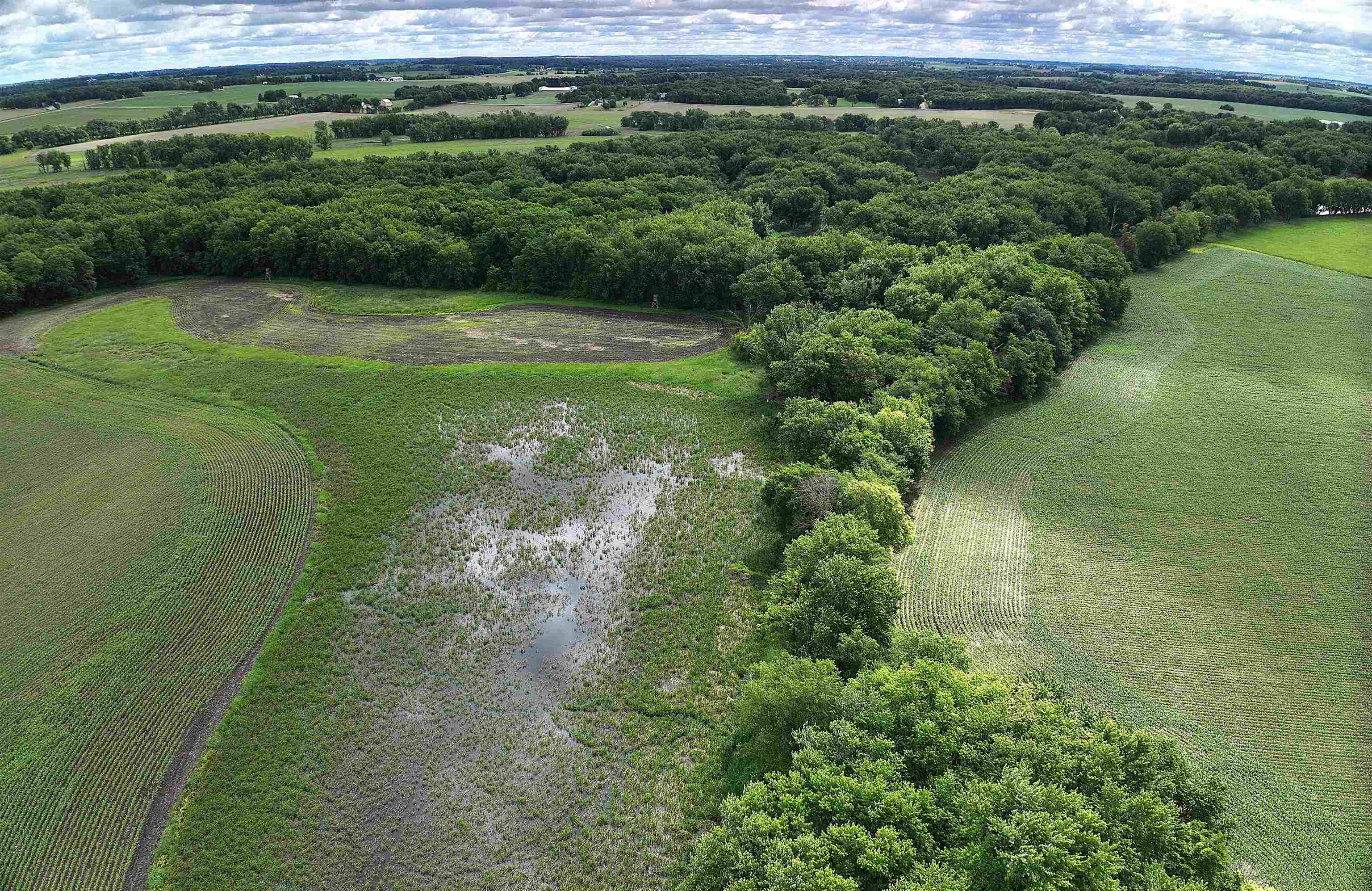 89.14 Acres Smokey Hollow