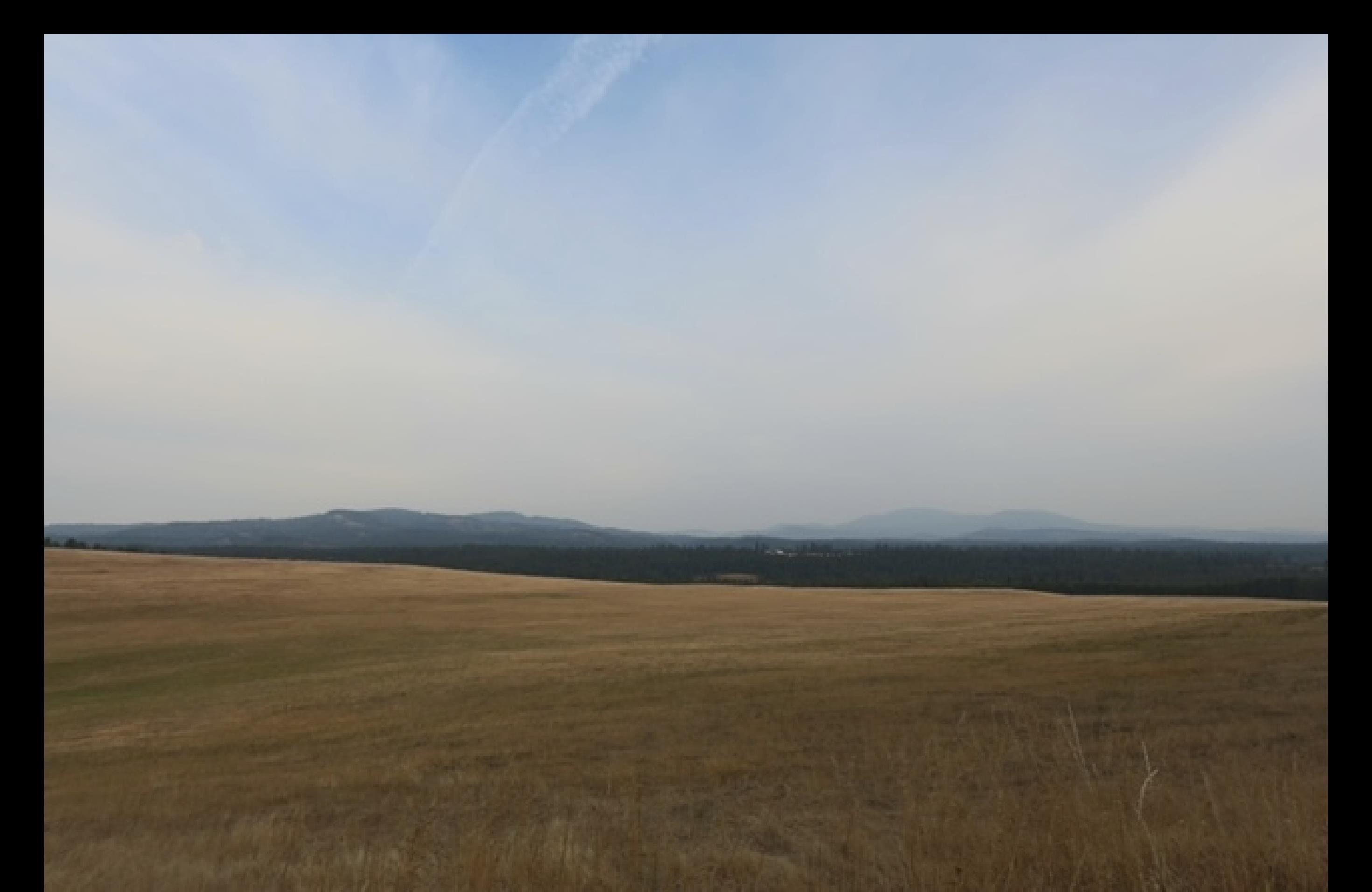 THIS IS A MASTER LISTING. Multiple 10 acre parcels for sale as well as one 20 acre in surrounding area. All parcels are $9,500 per acre. Extremely favorable seller financing terms available. 15% down payment at 7.5% interest with a balloon payment after 5 years. Very advantageous terms compared to conventional lending. Raw land with stunning views of Mt. Spokane. Power at street, no well, no septic, no improvements.