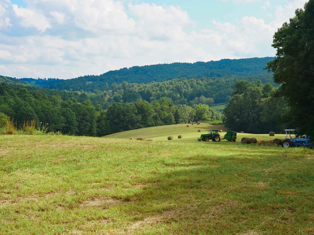 Set along Shady Grove Road NW near the western edge of Floyd County, this 22.42+/- acre property offers a versatile mix of approximately 12 acres of gently rolling pasture, mature woods, flowing water, & multiple access points. The open pasture provides several potential homesites, including an elevated area with southern views, while natural treeline boundaries create privacy from the road & neighboring properties. Multiple gated entrances & road frontage on 2 roads provide flexible access to different portions of the property, including a higher-elevation gate near a potential homesite & another entrance well-suited for tractors, equipment, gardening, & land management to keep it separate from the living area. The pasture offers ample space for a garden, small farm, horses, livestock, recreational fields, orchards, or homesteading, while the wooded acreage features a mature stand of oak, poplar, pine, cherry, & other native trees. A flowing creek provides approximately 700 ft of creek frontage, with rhododendron lining the hillside beyond the creek. Established trails lead through the woods, offering opportunities for hiking, exploring & outdoor recreation. The property could support a rural residence, hobby farm, equestrian setup, private campground, outdoor recreation retreat, gardening & homesteading operation, nature-based getaway, or private Blue Ridge basecamp. Approx 20 min to downtown Floyd (to the East) & Hillsville (to the West), with easy access to I-77 & surrounding Blue Ridge communities. A contiguous 44+/- acre tract is also available for sale, if you're looking for more wooded acreage & water. Shown by appointment.