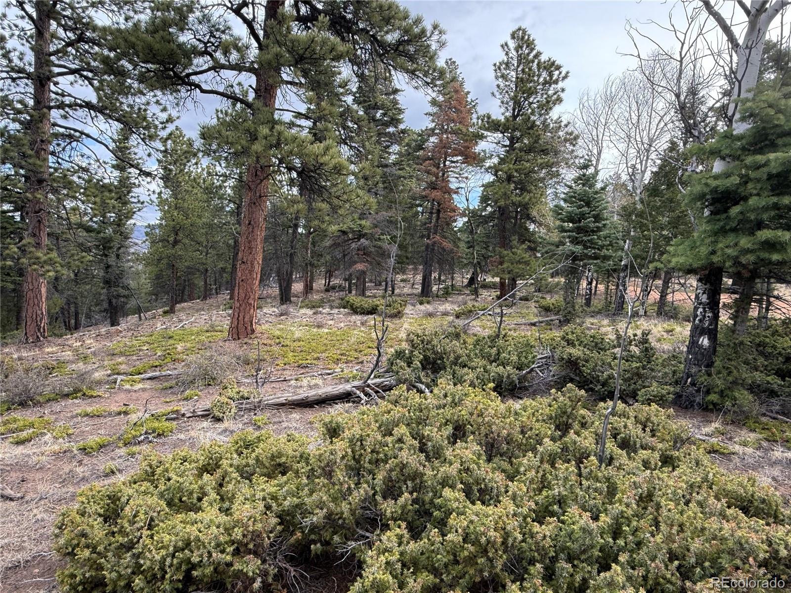Lot 152 Tahmoush Lane