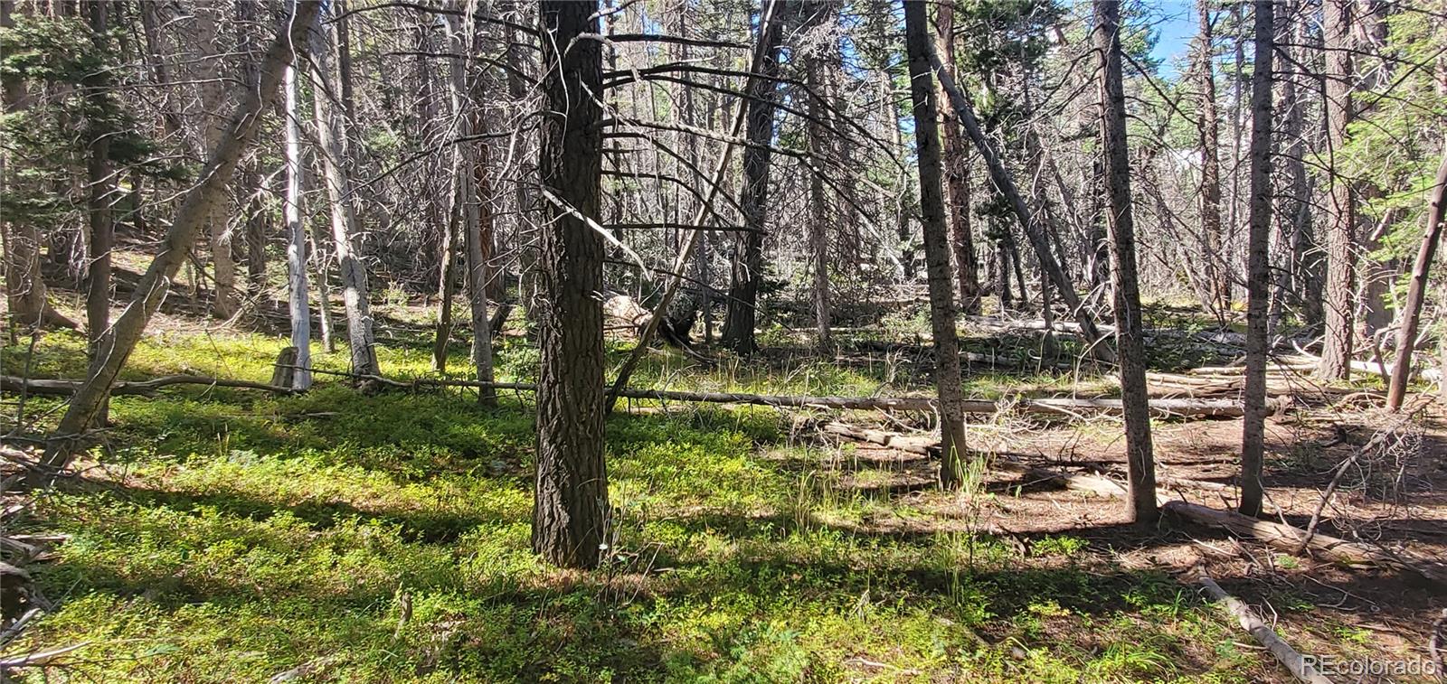 Lot 3427 Grojean Drive