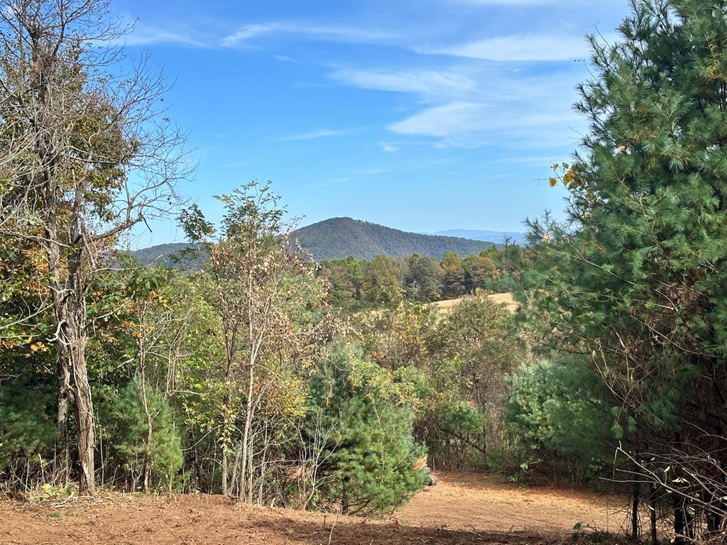 At an elevation of approximately 3,300 feet, this property encompasses one of the highest peaks in Patrick County. Spanning 93 acres, the tract offers over 4,000 feet of frontage along the paved portion of Belcher Mountain Road. About 6.5 acres of gently rolling pasture lie along the road frontage, with the balance in beautiful, mature hardwoods and native rhododendron. The headwaters of the Dan River run the length of the property, providing several excellent pond sites and a scenic natural feature. The land is abundant with wildlife including deer, turkey, and bear, making it ideal for outdoor enthusiasts. A solid internal road system provides access through the middle of the property, including a permitted crossing over the Dan River headwaters. This tract offers plenty of privacy with easy access from Meadows of Dan and would make an excellent retreat, homestead, or development opportunity. The property was previously subdivided into twelve individual parcels, presenting excellent potential for a developer or investor. Located just minutes from the Blue Ridge Parkway, Primland Resort, Chateau Morrisette Winery, and Villa Appalaccia Winery, this remarkable mountain tract combines elevation, privacy, and proximity to some of the region's most popular destinations.