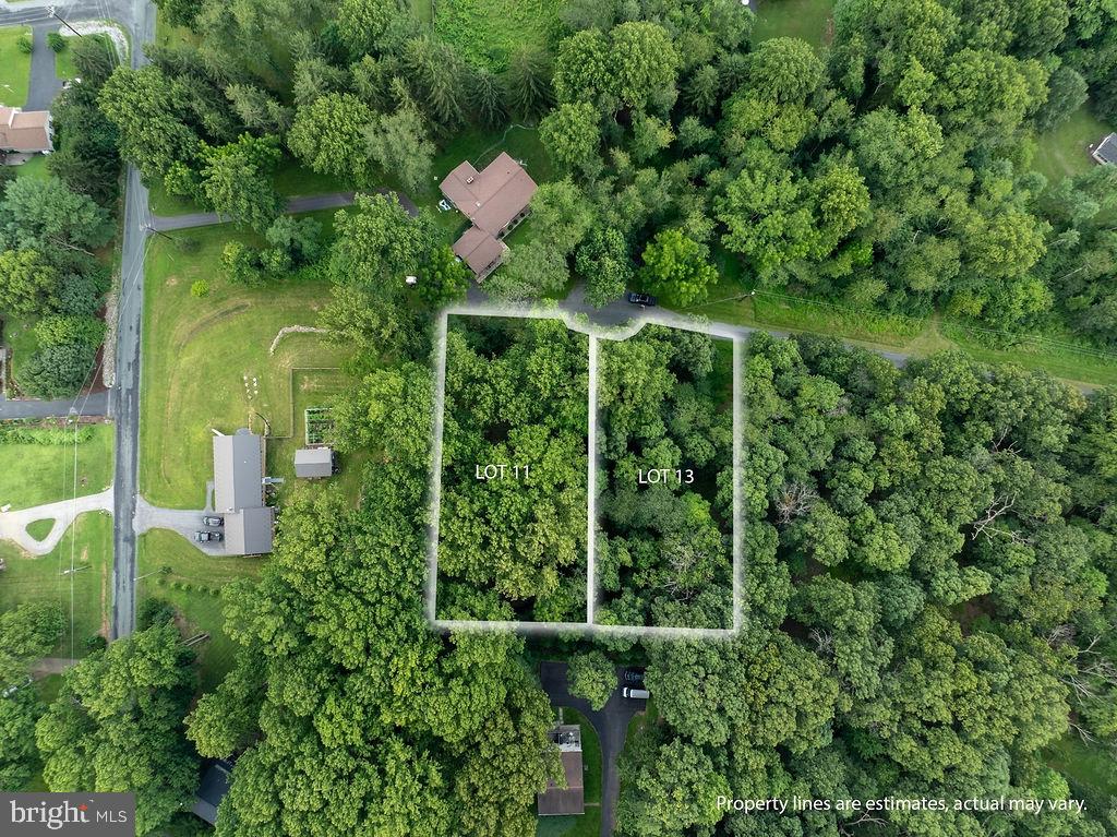 Carroll Valley Borough – .99 Acre Double Lot! Cleared and ready to go, this rural setting offers the perfect opportunity to build your dream home. Just minutes from Carroll Valley Resort and Liberty Mountain, enjoy the balance of peaceful surroundings with 20 year old Japanese Cedars most over 20 feet tall surrounding the premises along with nearby recreation. Approved septic design for a 3-bedroom home already in place. Spacious double lot provides room to spread out while remaining close to conveniences and commuter routes.  11 Mary Ann Trail lot size is .52 and 13 Mary Ann Trail lot size is .47.