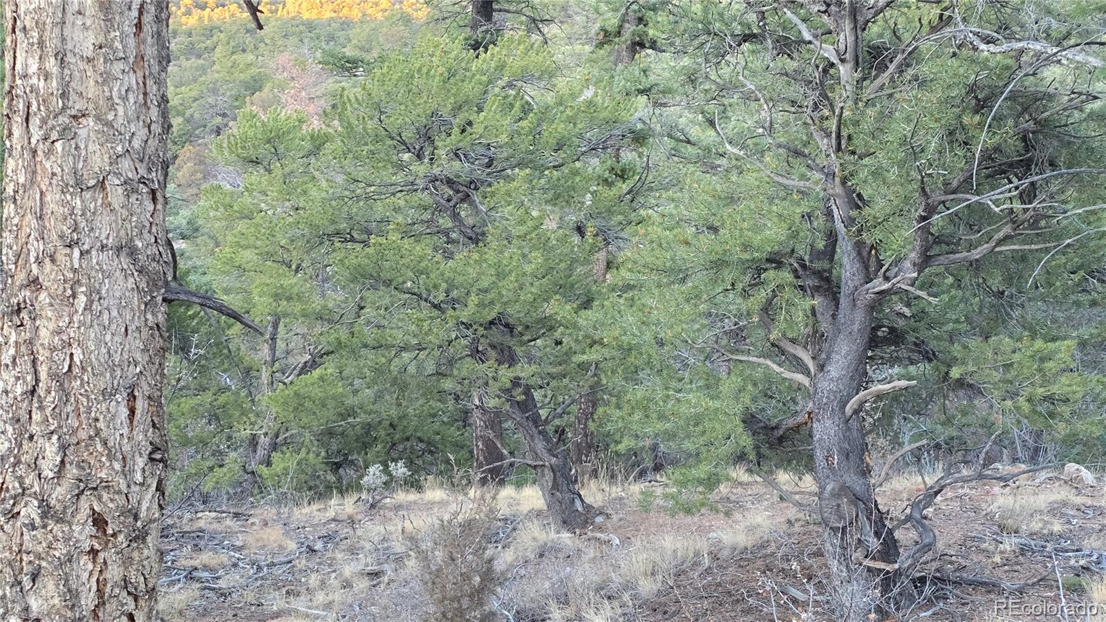 Lot 5106 Redler Road