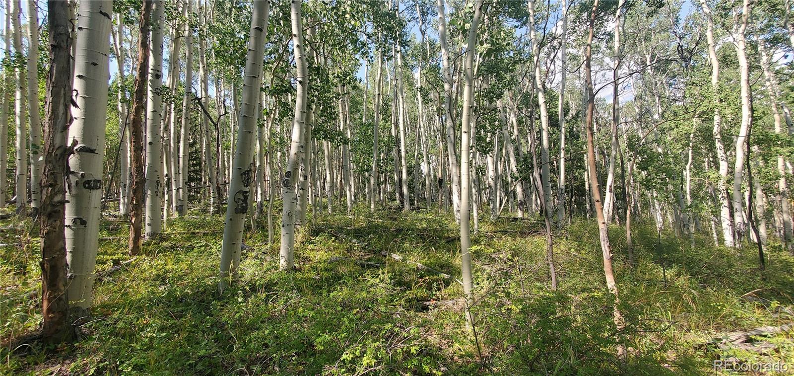 Lot 5837 Sheldon Road
