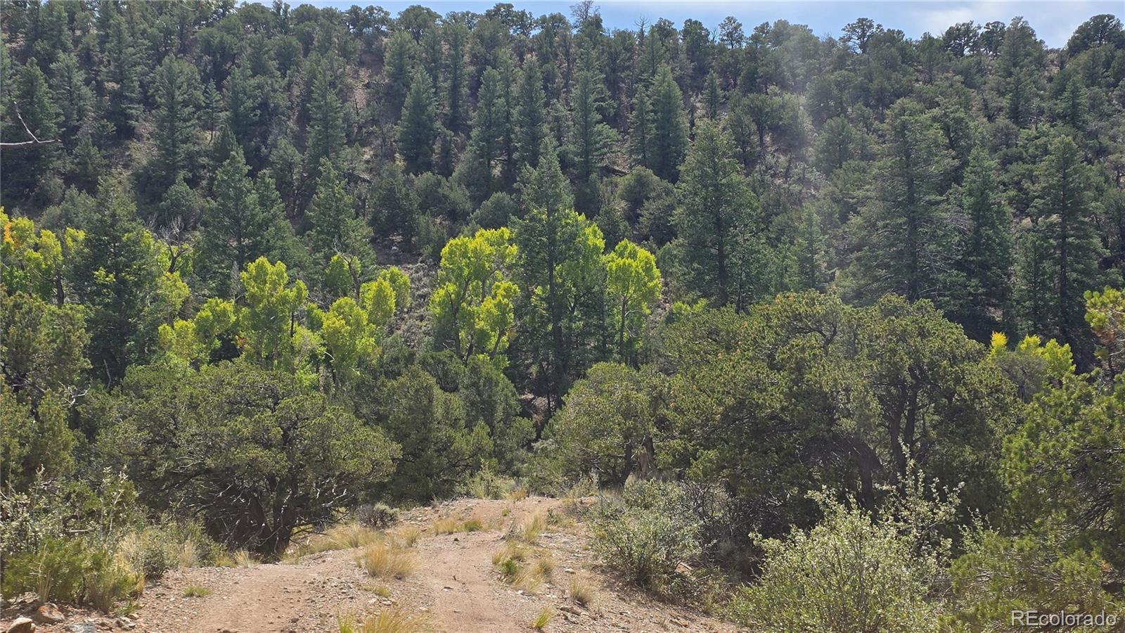 Lot 4024 Heritage Road