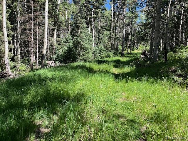 Lot 2684 Coder Place