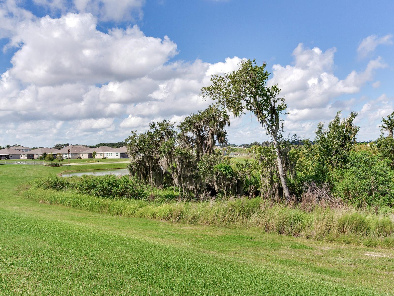 3723 Stormy Thistle Place