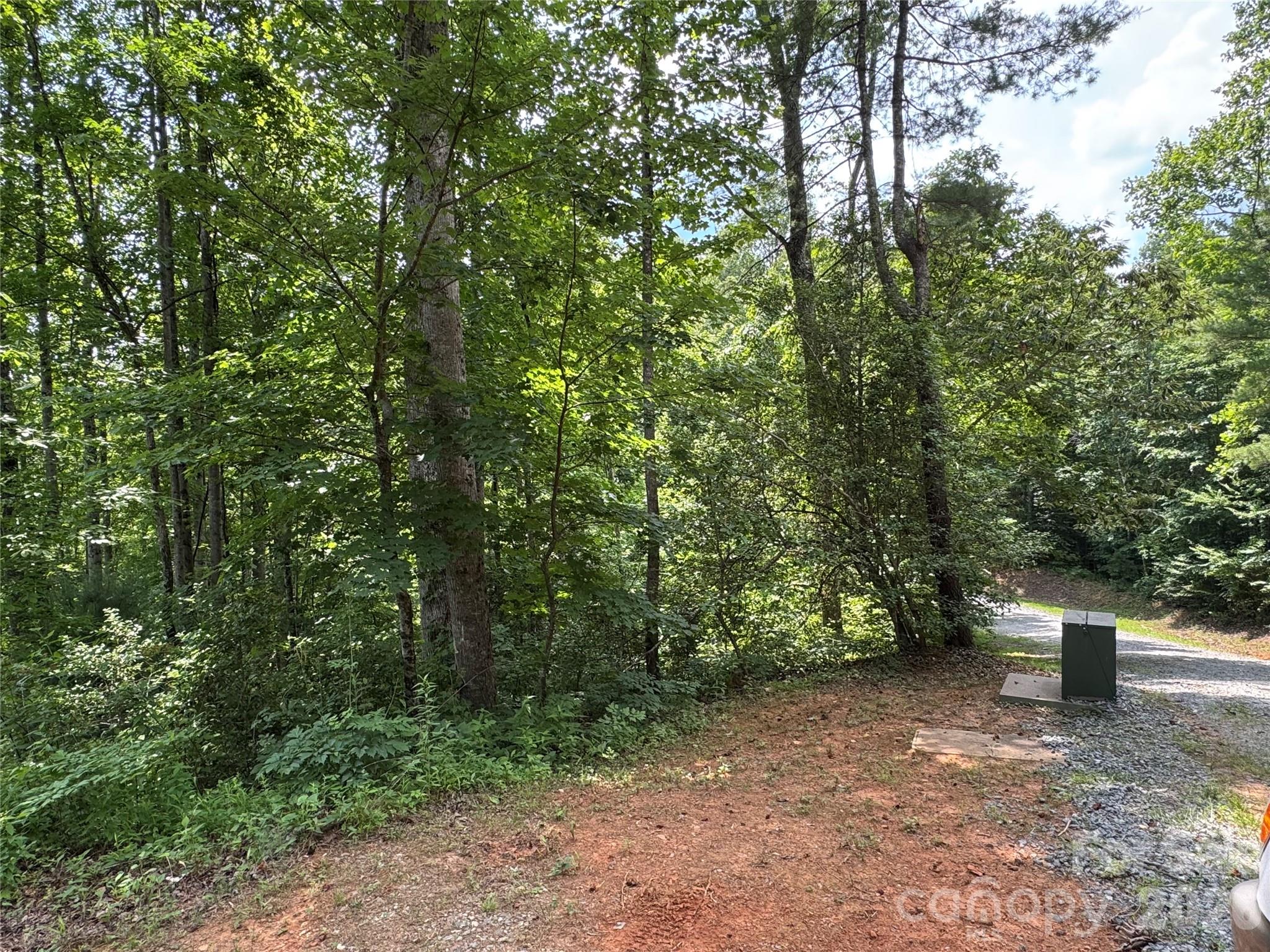 10 acres, Lot 528, Scenic Vista Trail 528