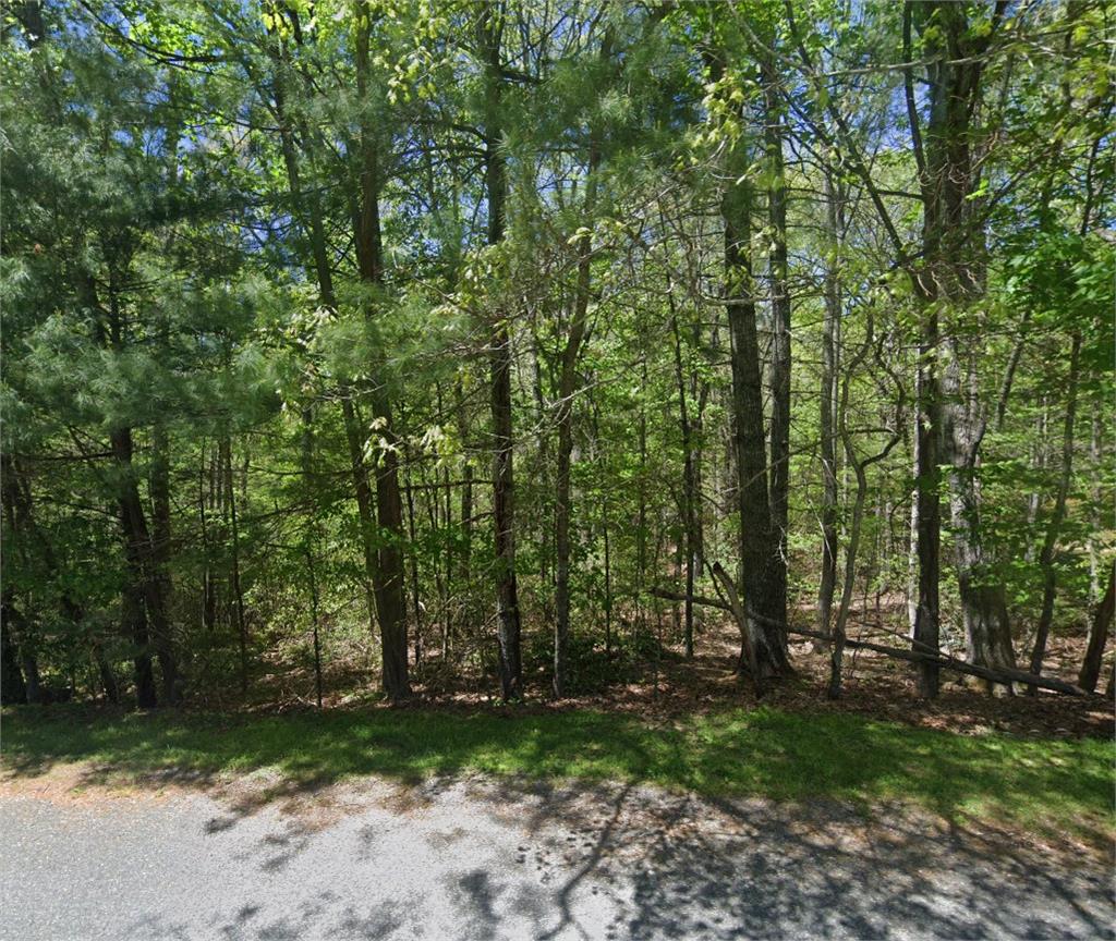 OWNER FINANCING AVAILABLE! This 1.00-acre wooded lot in Independence, VA offers gently sloping ground and mature trees estimated at 20–50 years old, creating a private and peaceful setting with an adjoining lot also available. The area is known for its mountain views, dark skies, and easy access to the New River, Grayson Highlands State Park, and the Blue Ridge Parkway. Enjoy small-town living with local shops, community events, and outdoor recreation right at your doorstep, while still being within driving distance of the greater Greensboro and Winston-Salem metro areas. Priced below market value, this is the best deal on the market for quality land in a highly desirable part of Southwest Virginia.