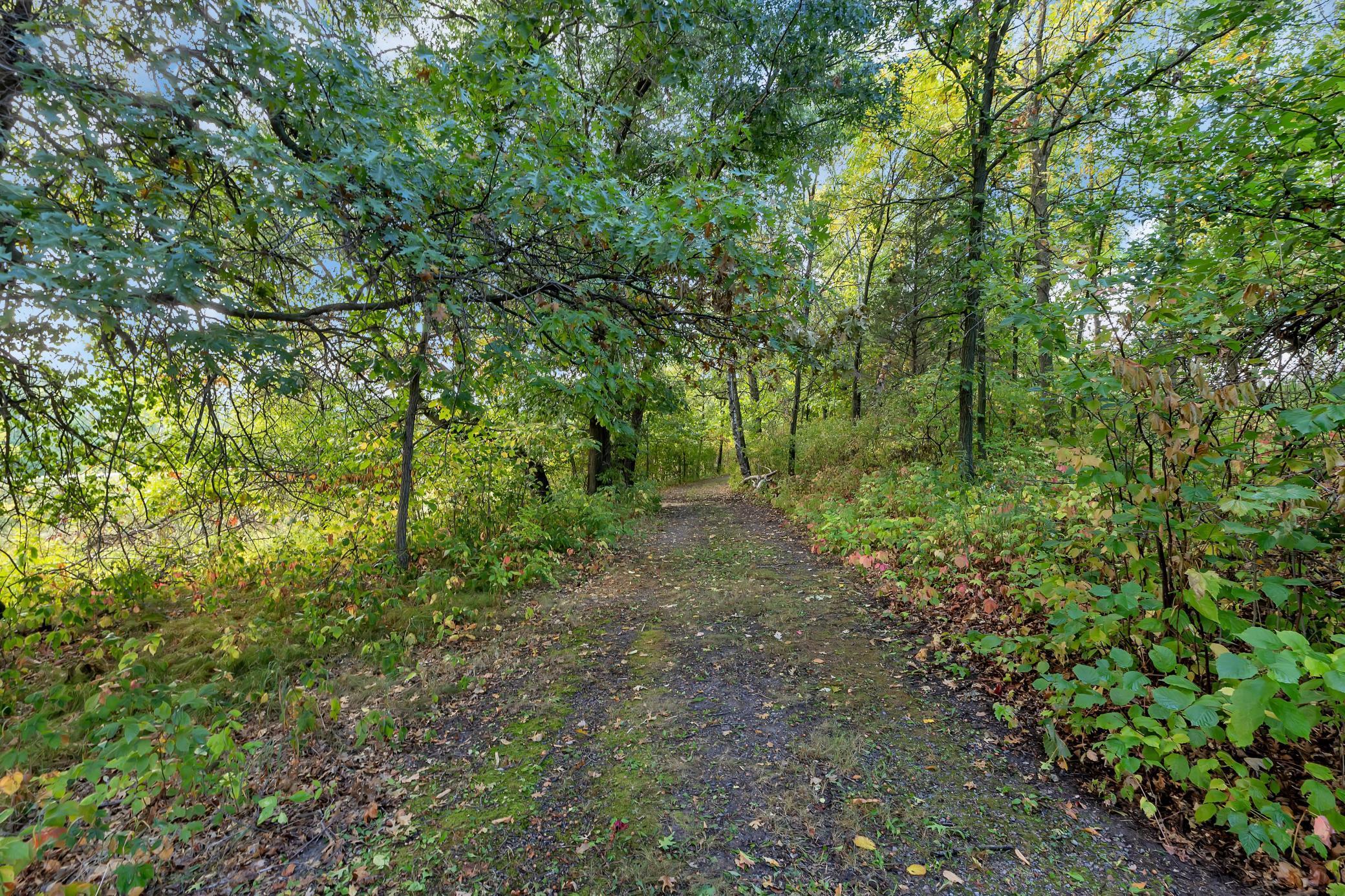 29313 Island Lake Road