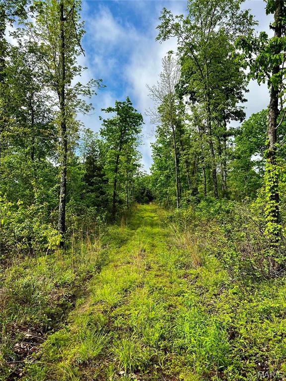 382 Furnace Creek Road