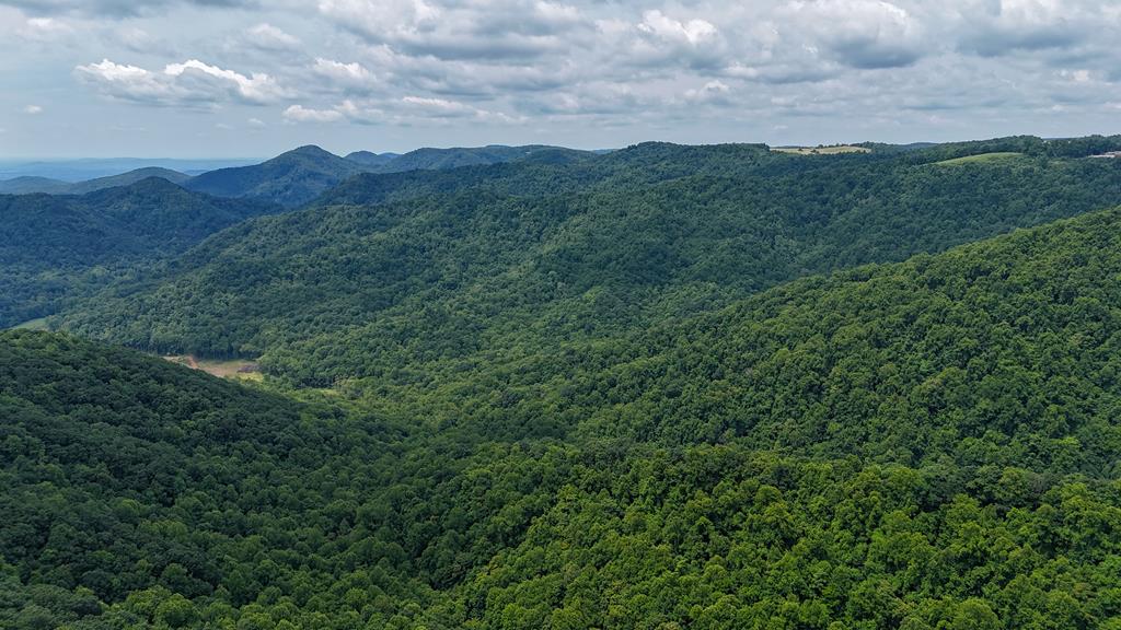 his pristine tract of land iscovered in mature hardwoods, offering not only a stunning natural environment but also a fantastic investment opportunity. Key Features: Expansive Hardwood Forest: A treasure trove of maturing hardwoods covers the entire property, presenting an excellent opportunity for timber harvesting or preservation. Long-Range Views: The property boasts breathtaking long-range views from the ridge tops, perfect for a potential home site or scenic overlook. Water Features: Poorhouse Creek winds through the heart of the land, accompanied by multiple springs branching from it, providing fresh water sources and serene natural beauty. Wildlife Abundance: Hunters and nature enthusiasts will appreciate the plentiful wildlife that calls this property home. Access: A 30-foot Right of Way provides convenient access to Highway 58, ensuring privacy without sacrificing connectivity.