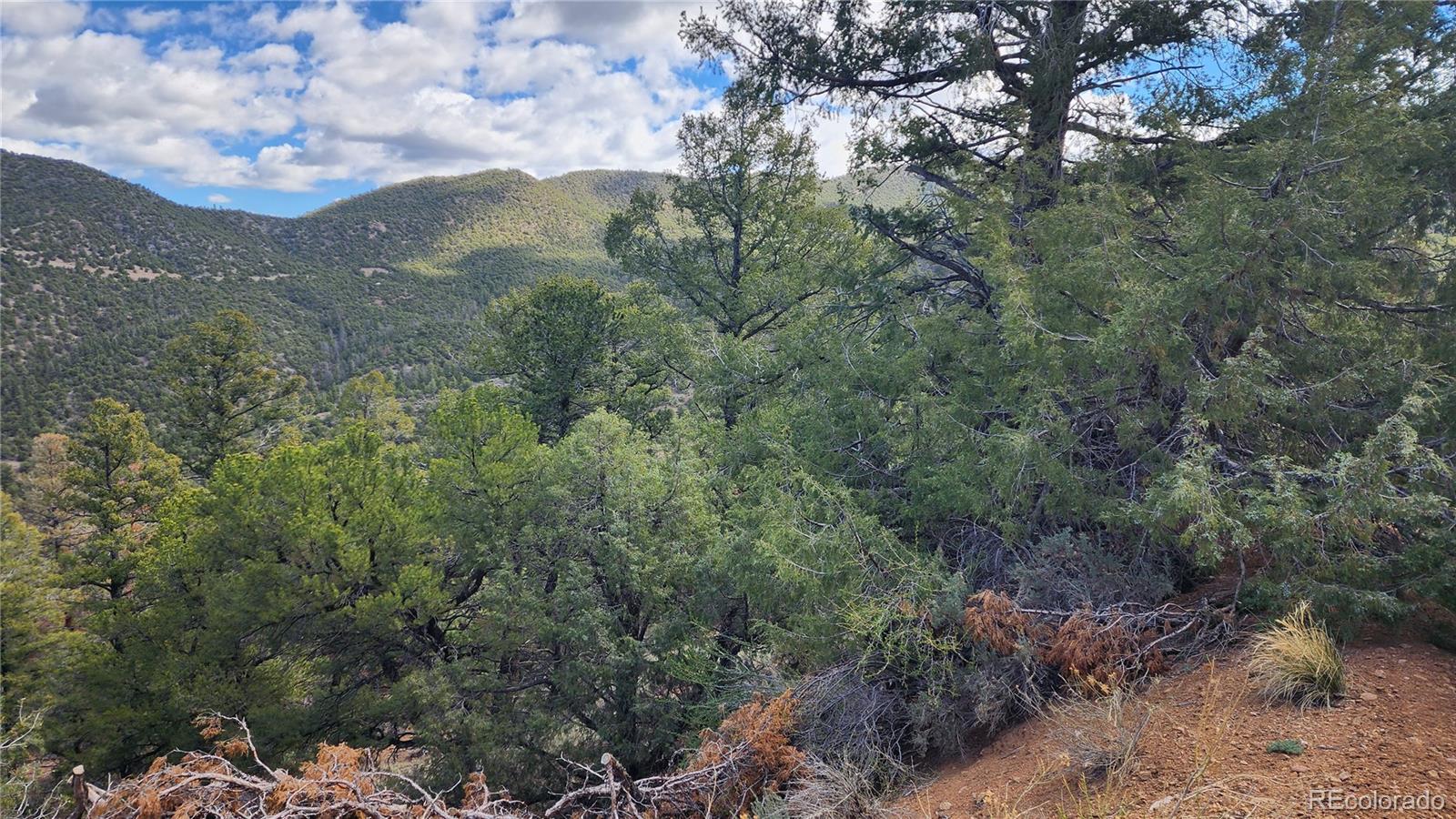5040 & 5041 Mamouche Road