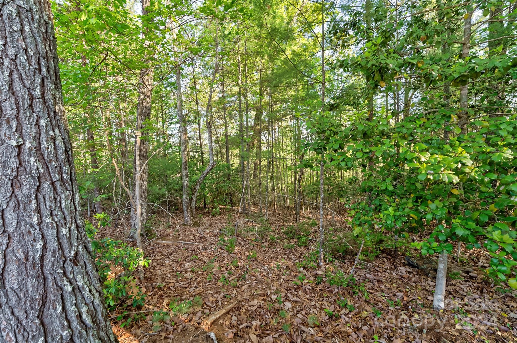 2088 Catawba Trail 161