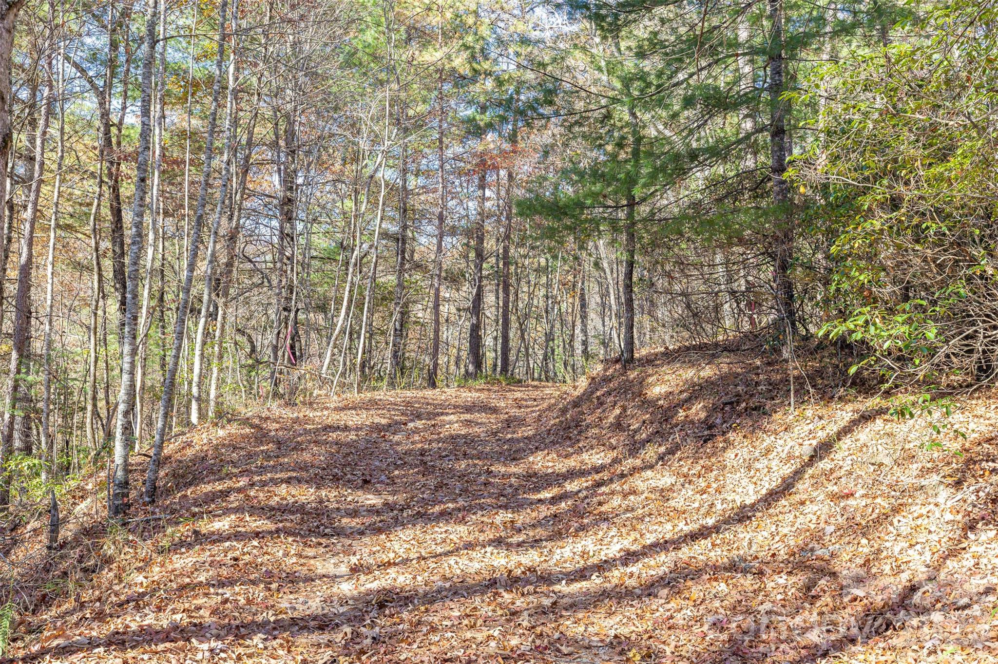 000 Needmore Road