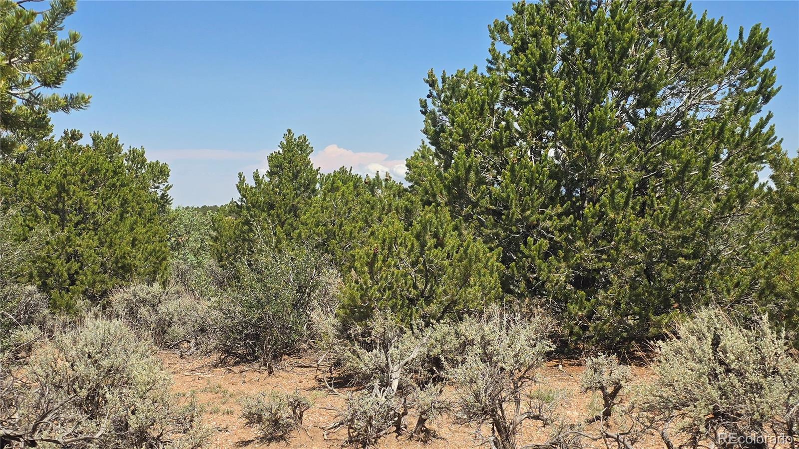 Lot 1615 Dunn Road