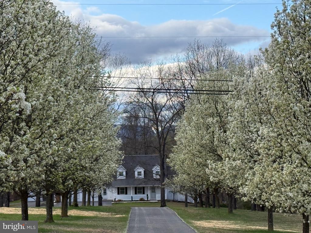 Location Location Location! A beautifully tree-lined driveway leads to this private custom-built Cape Cod.  The home features a breezeway with a half bath and laundry closet. The kitchen boasts granite countertops and new stainless steel appliances. The dining area features a patio door that opens onto the rear deck. The living room is complemented by a brick fireplace, built-in bookshelves and hardwood floor throughout the main level.  The main level primary bedroom, located just down the hall, features double walk-in closets, and a full bath. From the formal entry foyer, an open staircase leads to two bedrooms, a full bath, an office area, and a spacious room suitable for a hobby/sewing room, or perhaps additional sleeping area. Additional features include plenty of storage closets. The full unfinished basement features an automatic garage door and roughed-in plumbing for an additional bathroom if needed. The basement offers ample storage space and the potential for finishing to create extra living space. The covered front porch provides an ideal setting for relaxation. The attached two-car garage offers convenient parking.  A 30x40 Morton building, equipped with electricity and a water hydrant right outside the door, is perfect for hobbyists. Situated on 3.77 acres, the property is conveniently located near I-70, a hospital, and downtown Berkeley Springs. This location is ideal for everyone. Protective covenants apply.