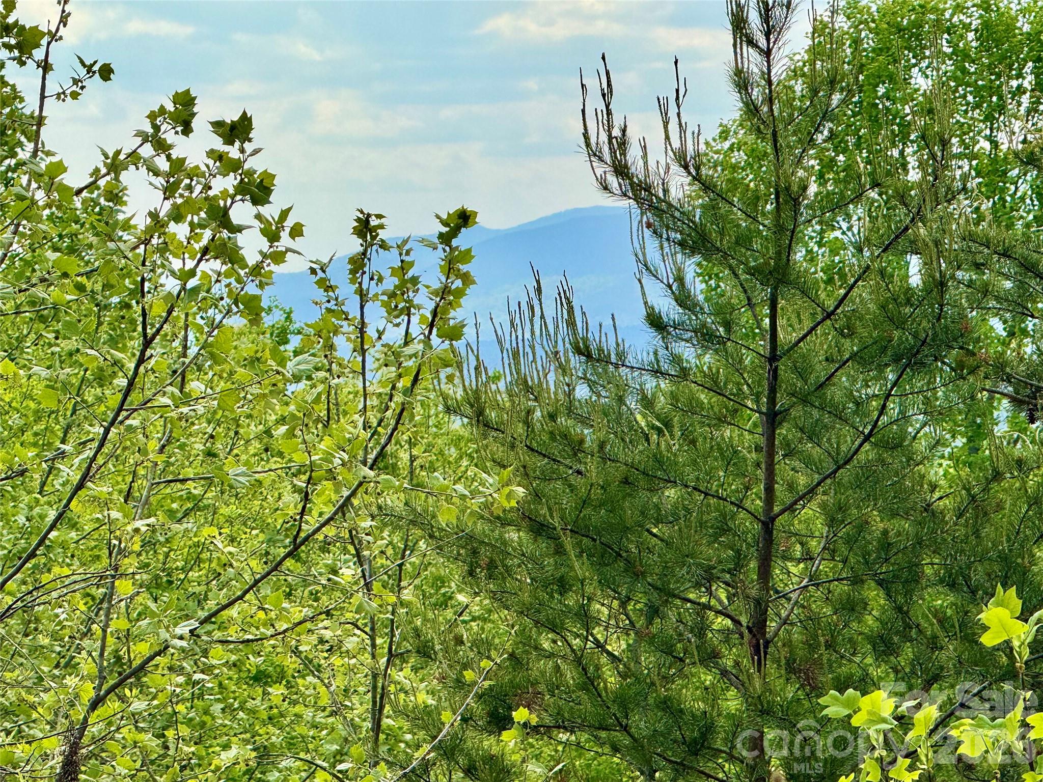 Lot 161/162 Rocky Falls Lane 161/162